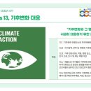 협동조합 시네마MM | [공지] [대전국제개발협력센터 DODA 4기] 코스타리카가 선도하는 지속가능한 미래🌍💚