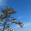 진도해안로민박 이미지