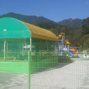 드림독 강아지 고양이 안심분양센터 시흥점 이미지