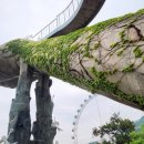 바다 행정사 사무소 이미지