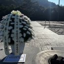 '부산 돌려차기' 피해자의 분노 "김용민 의원, 지옥에 가세요" 이미지