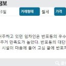 뉴코아공인중개사사무소 이미지