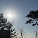 씨투기획 | 태안오션뷰펜션 청포대 씨투아일랜드 숙소 후기