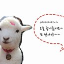 지원목장 이미지