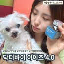 강아지 눈 영양제 🐶 간식처럼 챙길 수 있는 닥터바이 아이즈 4.0 솔직후기