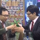 양천야채