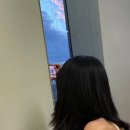 멍블링 | D+15-16/호주 워홀/브리즈번/퀸즐랜드 대학 수영장/수영후기/마라탕/타켓구경/카페 면접