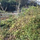 계동마을 이미지