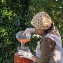 힐링캠프예서원 이미지