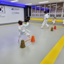 새나루 태권도 이미지