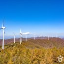 횡성 산울림오토캠핑장 이미지