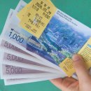 3월29일 | 철원 한탄강 물윗길 트레킹 (26년 3월 29일 방문후기)
