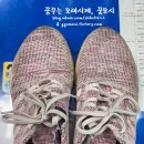 운동화빨래방이불 이미지