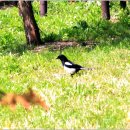 성불사길 이미지