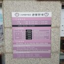 고남패총박물관 | [고남패총박물관] 안면도에서 아이와 가볼 만한 박물관(솔직한 후기)