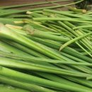 오로라가든 펜션 이미지