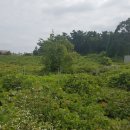 비취모텔 이미지