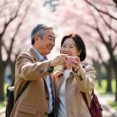 고성공공실버주택아파트 앞 | 경기도 실버타운 총정리: 용인·성남·수원 주요 시설, 입주조건, 비용 확인법