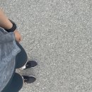 매물도콘도 | 30대캐나다워홀 -Day1~Day4에 한 일들(신넘버온라인발급,계좌,도서관카드,장기숙소,잡구하기,도서관밋업)