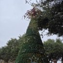 서부앵글 | 미국 오스틴 여행 텍사스 캐피톨 Texas Capitol 후기