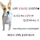 우성게임랜드 이미지