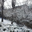 기동반-33 이미지