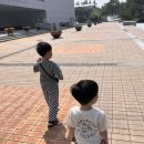 익산보석박물관놀이터 | [아이랑가볼만한곳] 익산 다이노키즈월드 / 모래놀이터 / 보석박물관