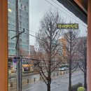 [성남시 산후조리원] 신데렐라 산후조리원, 내부 인테리어 및 솔직후기.병원과 가까움, 강추O