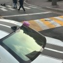 매화세탁소 | 2026 Mar