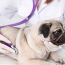 이촌약국 이미지