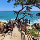 초전심천사우나 이미지