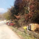 한마루농장 이미지