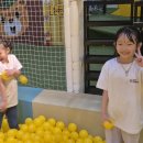 경희대 액티브 태권도 이미지