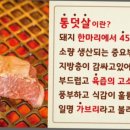 남정집 이미지