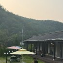 깔끔한 투룸 강아지 운동장 겸비한 애견동반펜션 홍천 팔봉수피아 솔직 후기