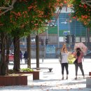 부천중앙공원 이미지