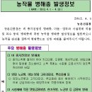 농촌진흥청발표-병해충발생정보 제4호 (2013.04.01~04.30) 이미지