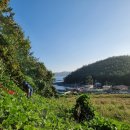 은행농장(염소) 이미지