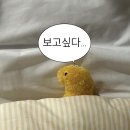 862기 2대대 040305 최연우 이미지