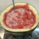 애련농장 | 여름의 시작부터 중간까지