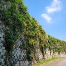 정재초교길 이미지