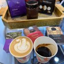 야간)커피바리스타C | 2025 서울 카페쇼 C홀 커피앨리 관람 후기