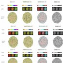 색맹의 종류 이미지