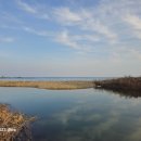 구룡장어식당 이미지