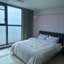 브라운도트거북섬점 이미지