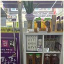 허브자연