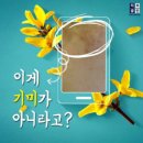 이게 기미잡티가 아니라고? 이미지