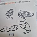 서산 하연과학 후기, 직접 만든 붕어 모형 해부 실험 체험기