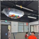 태비태권도 이미지