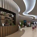 아쿠아필드 고양 이미지